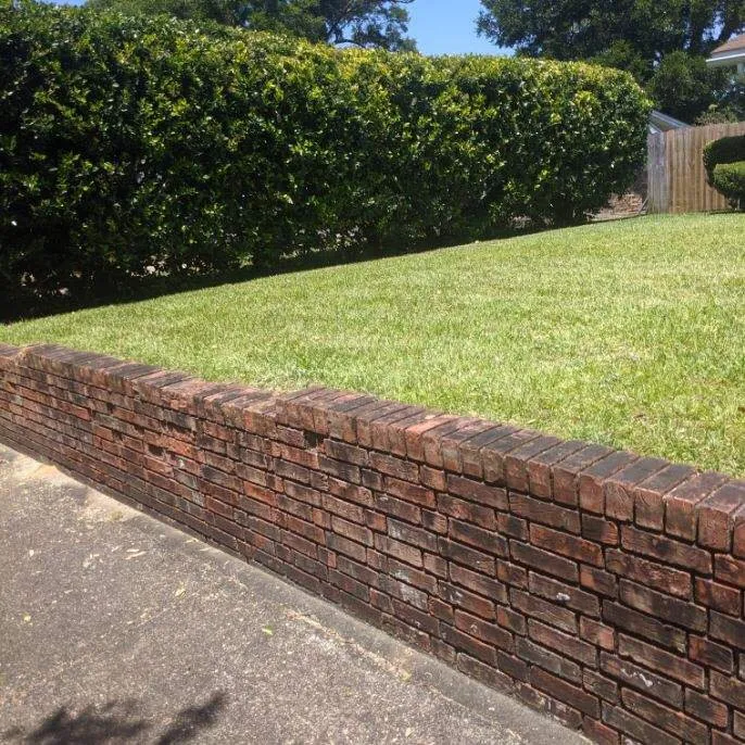 Professional yard cleanup service in Pensacola, FL - Morris & Morris Landscaping