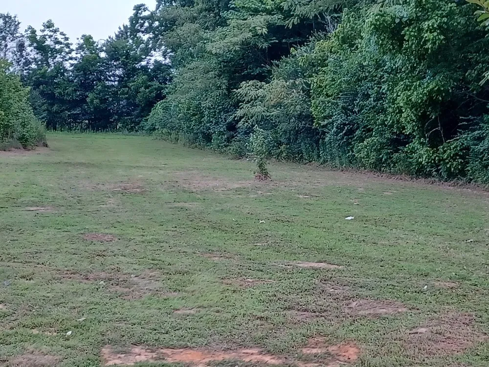 Professional landscaping services experts serving Amory, MS - Morris & Son's Lawn Care Service