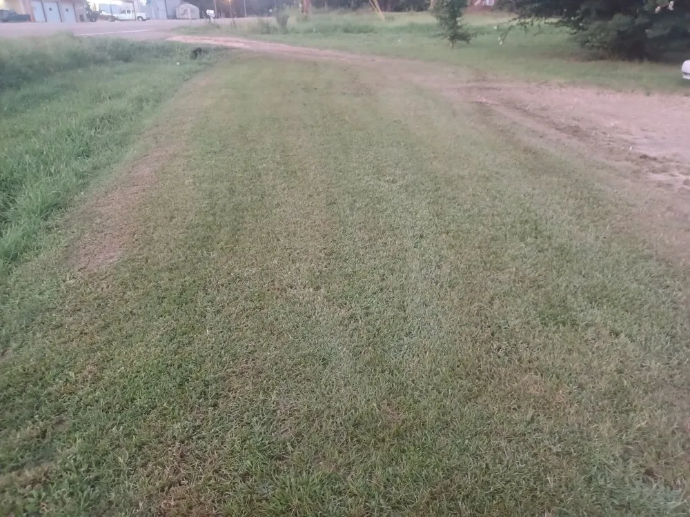 Trusted landscape design near you across Amory, MS - Morris & Son's Lawn Care Service