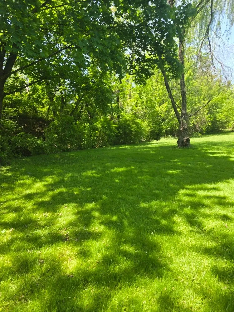 Affordable yard cleanup service for year-round maintenance across Harrisburg, PA - Morris & Stout Lawncare