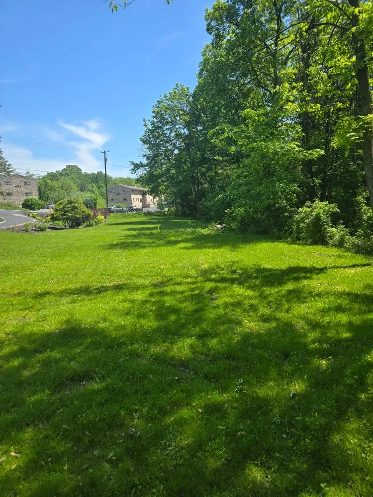 Trusted yard cleanup service in Harrisburg, PA by Morris & Stout Lawncare