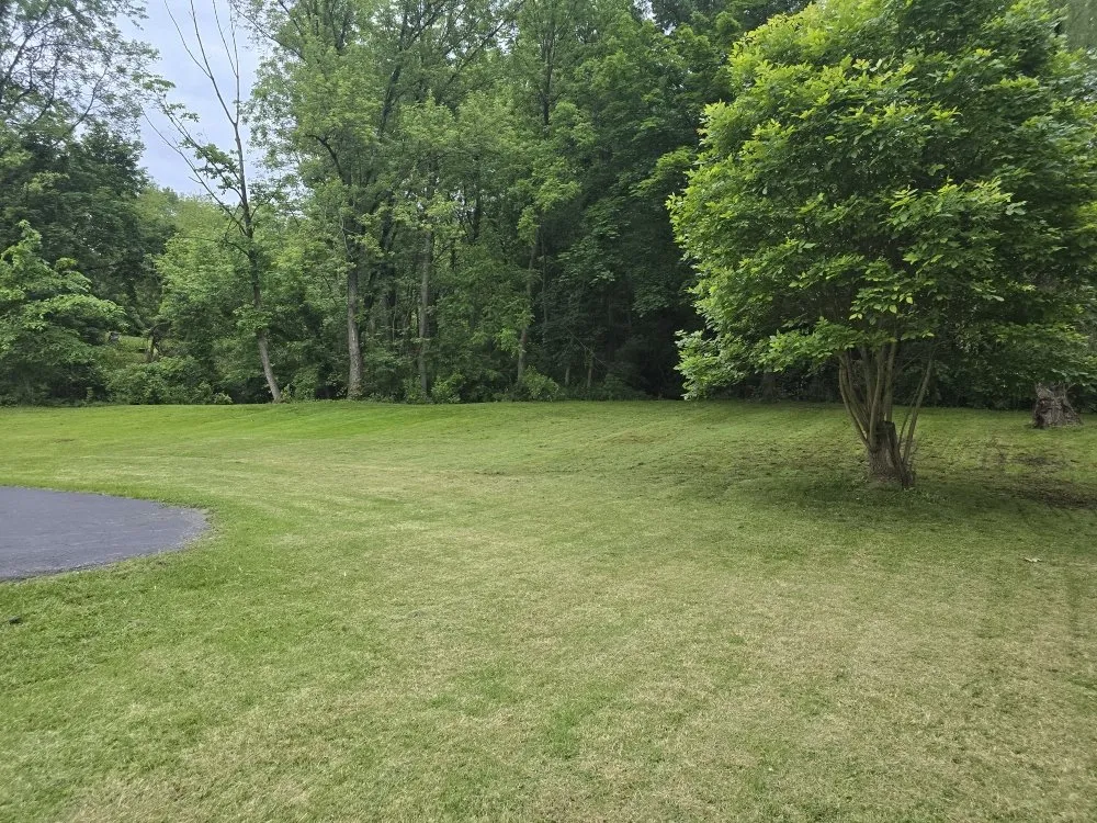 Custom yard maintenance for residential properties in Harrisburg, PA by Morris & Stout Lawncare