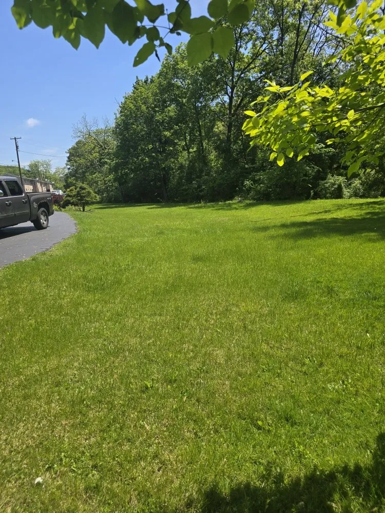 Expert lawn mowing service for homes across Harrisburg, PA - Morris & Stout Lawncare