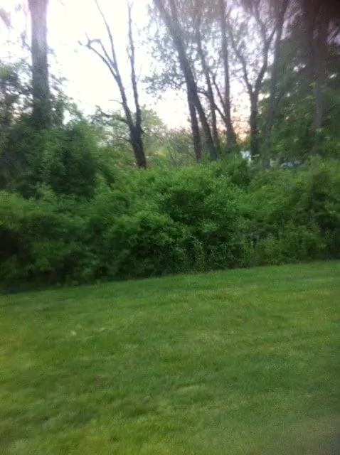 Top-rated landscaping services in Montville, NJ by Morris County Lawn Service, LLC