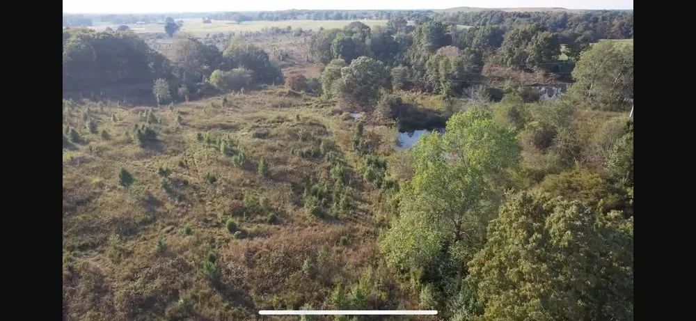 Professional lawn care service experts serving Clarksville, TN - Morris Land Management