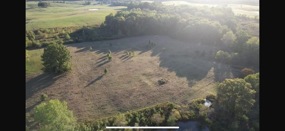 Reliable lawn mowing service in Clarksville, TN - Morris Land Management