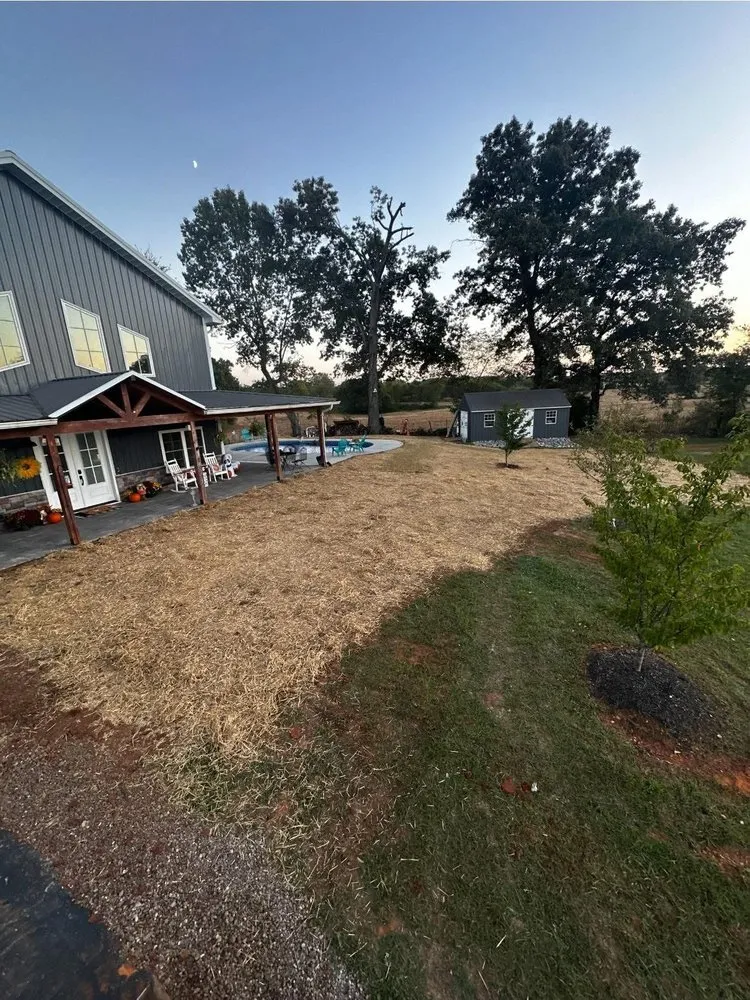 Affordable lawn care service near you across Clarksville, TN - Morris Land Management