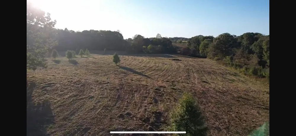 Affordable residential landscaping near you across Clarksville, TN - Morris Land Management