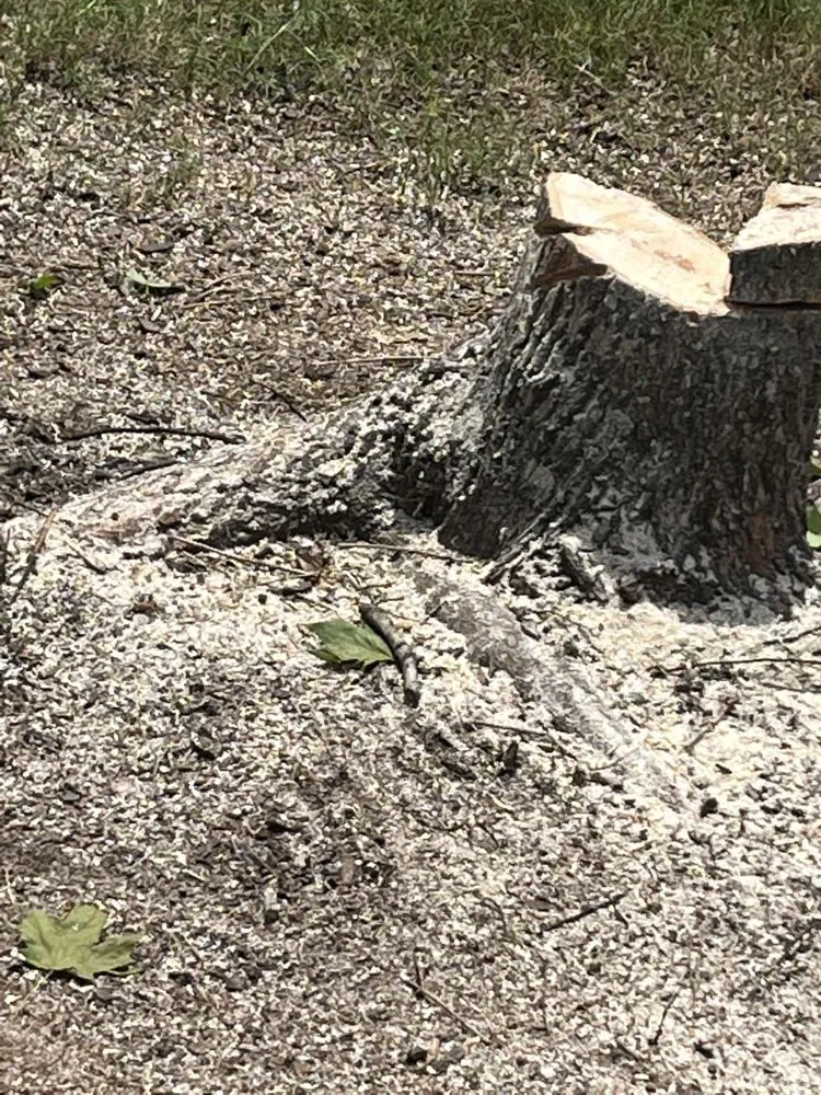 Affordable garden landscaping in Decatur, GA by Morris Landscaping