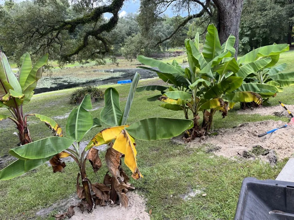 Trusted residential landscaping in Decatur, GA by Morris Landscaping