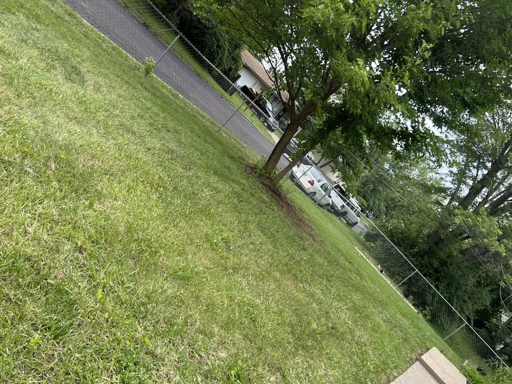 Custom residential landscaping experts serving Hallsville, MO - Morris Lawn & Farm