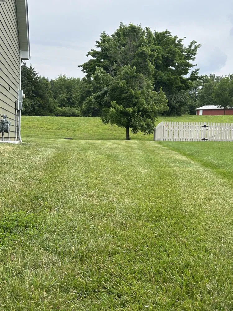 Expert landscape installation in Hallsville, MO - Morris Lawn & Farm