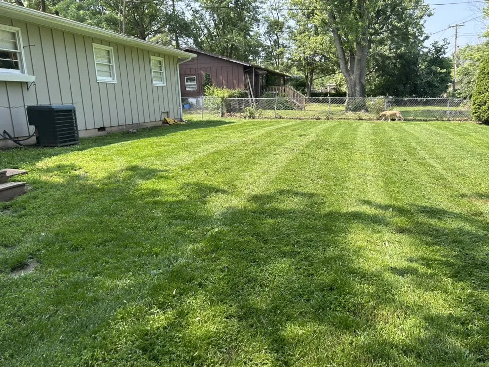 Top-rated yard cleanup service for year-round maintenance across Hallsville, MO - Morris Lawn & Farm