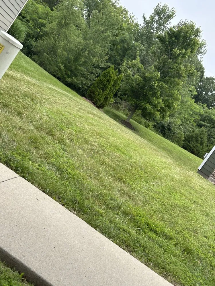 Expert lawn mowing service near you in Hallsville, MO by Morris Lawn & Farm