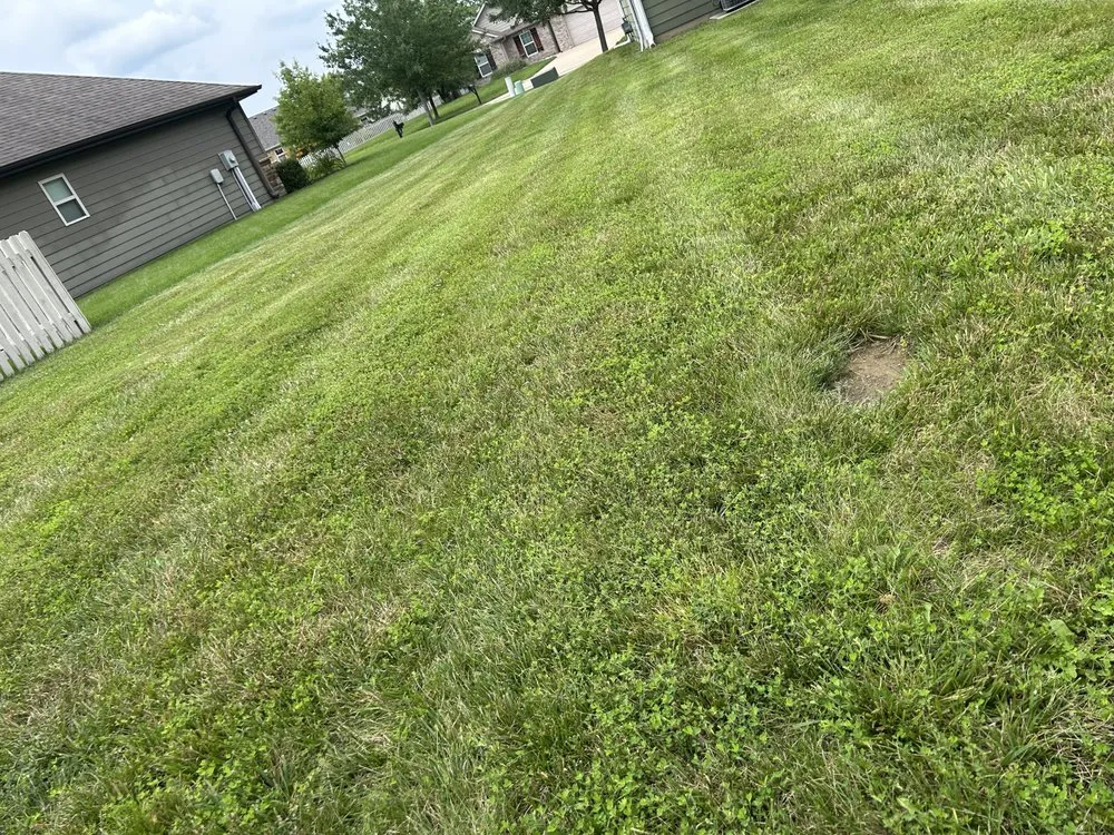 Local landscaping services in Hallsville, MO - Morris Lawn & Farm