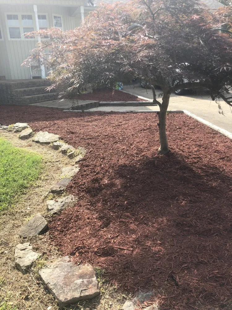 Trusted yard cleanup service near you in Dyersburg, TN by Morris Lawn Care & More