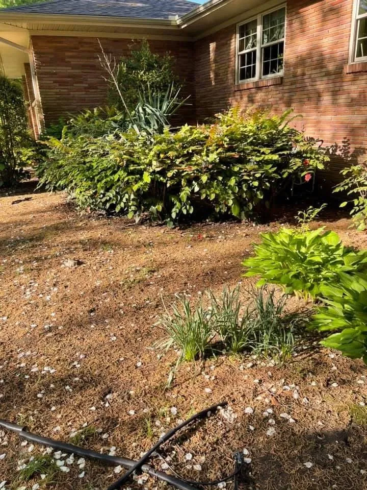 Professional garden landscaping in Dyersburg, TN by Morris Lawn Care & More