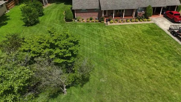 Morris Lawn Care & More