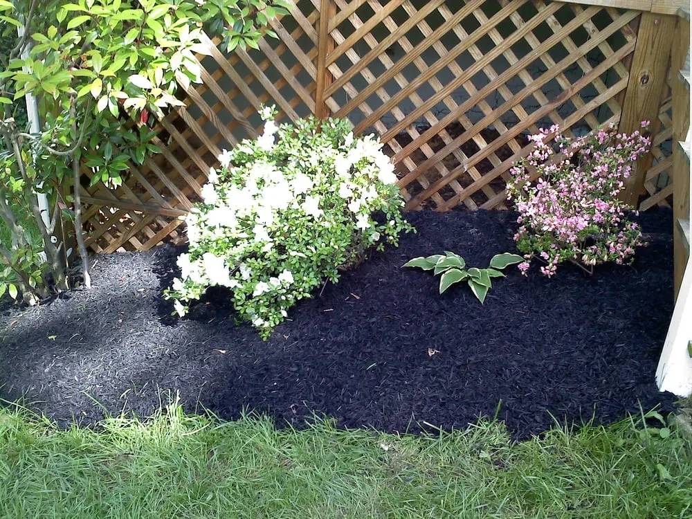 Top-rated yard maintenance in Charlottesville, VA - Morris Lawn Care & Services