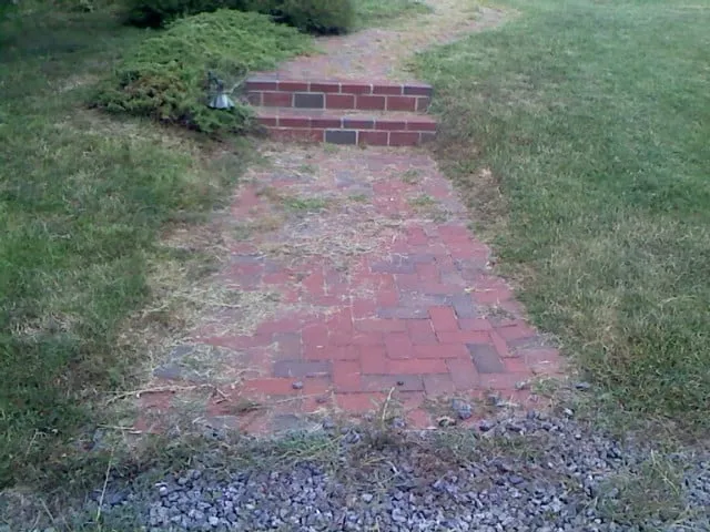 Affordable yard cleanup service in Charlottesville, VA by Morris Lawn Care & Services