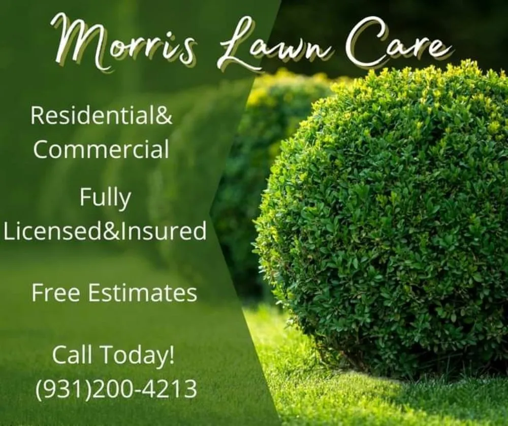 Top-rated lawn care service for outdoor upgrades in Crossville, TN by Morris Lawn Care