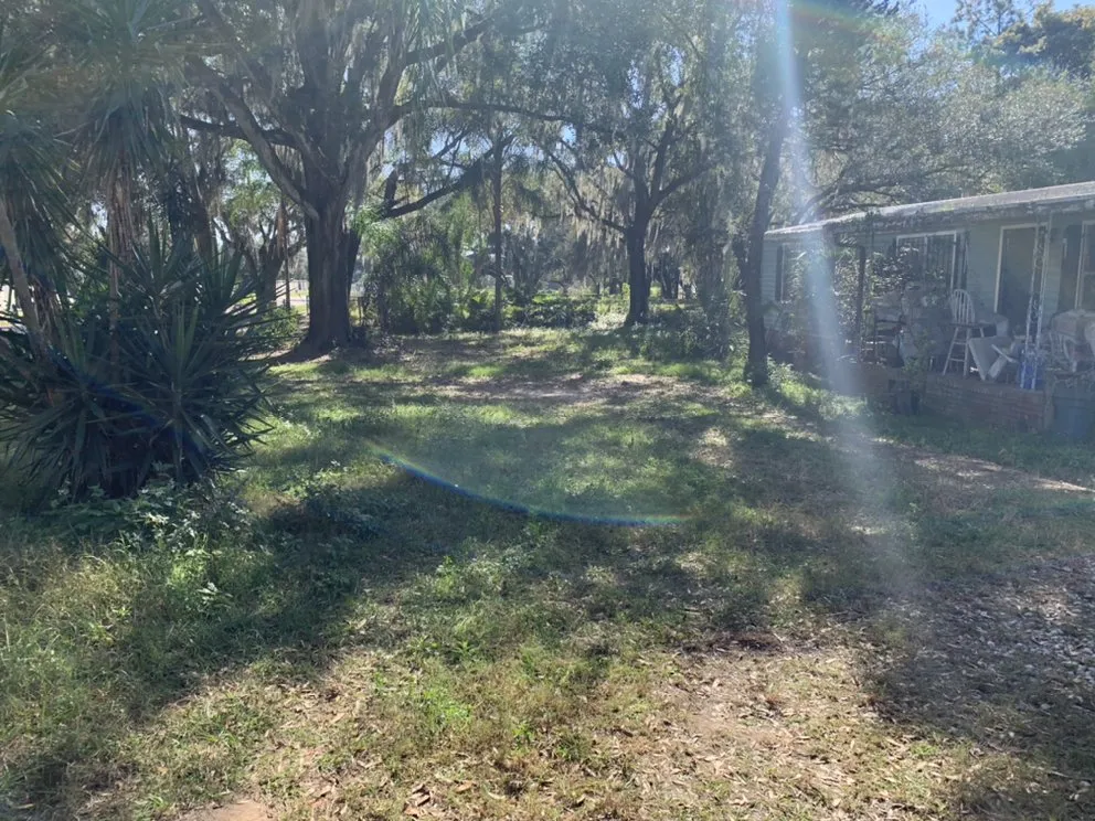 Local yard maintenance for homes in PLANT CITY, FL by MORRIS LAWN CARE MORE