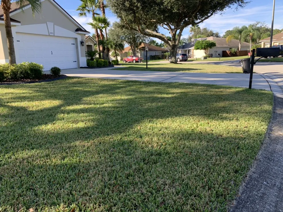 Trusted landscape design with custom design across PLANT CITY, FL - MORRIS LAWN CARE MORE