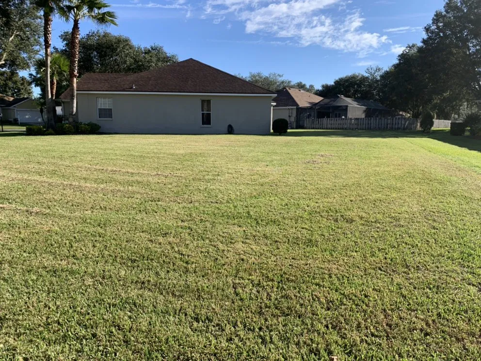 Local lawn care service for residential properties in PLANT CITY, FL by MORRIS LAWN CARE MORE