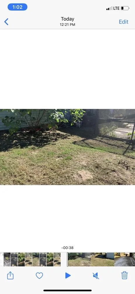 Trusted landscape design in PLANT CITY, FL by MORRIS LAWN CARE MORE