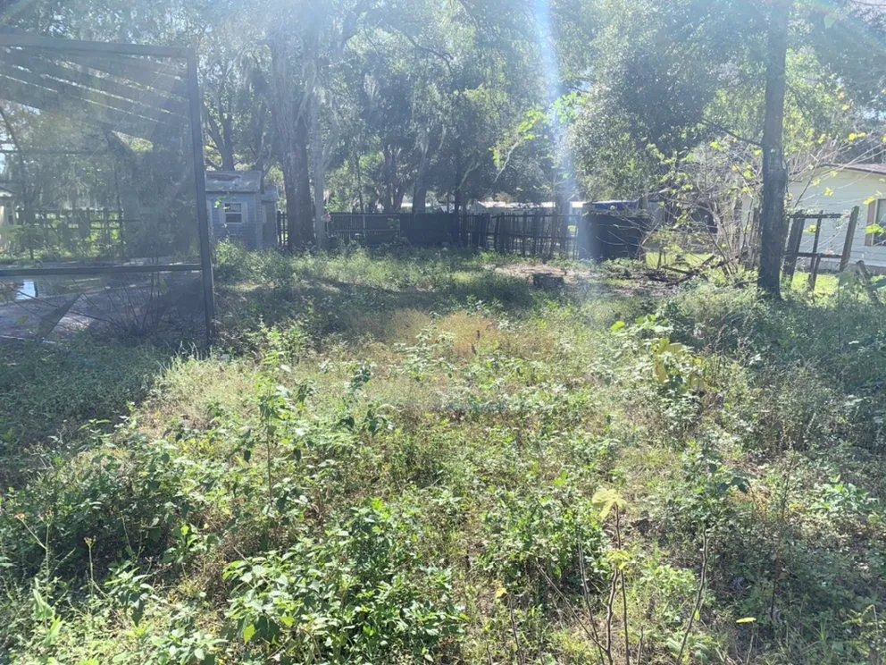 Trusted lawn mowing service in PLANT CITY, FL by MORRIS LAWN CARE MORE