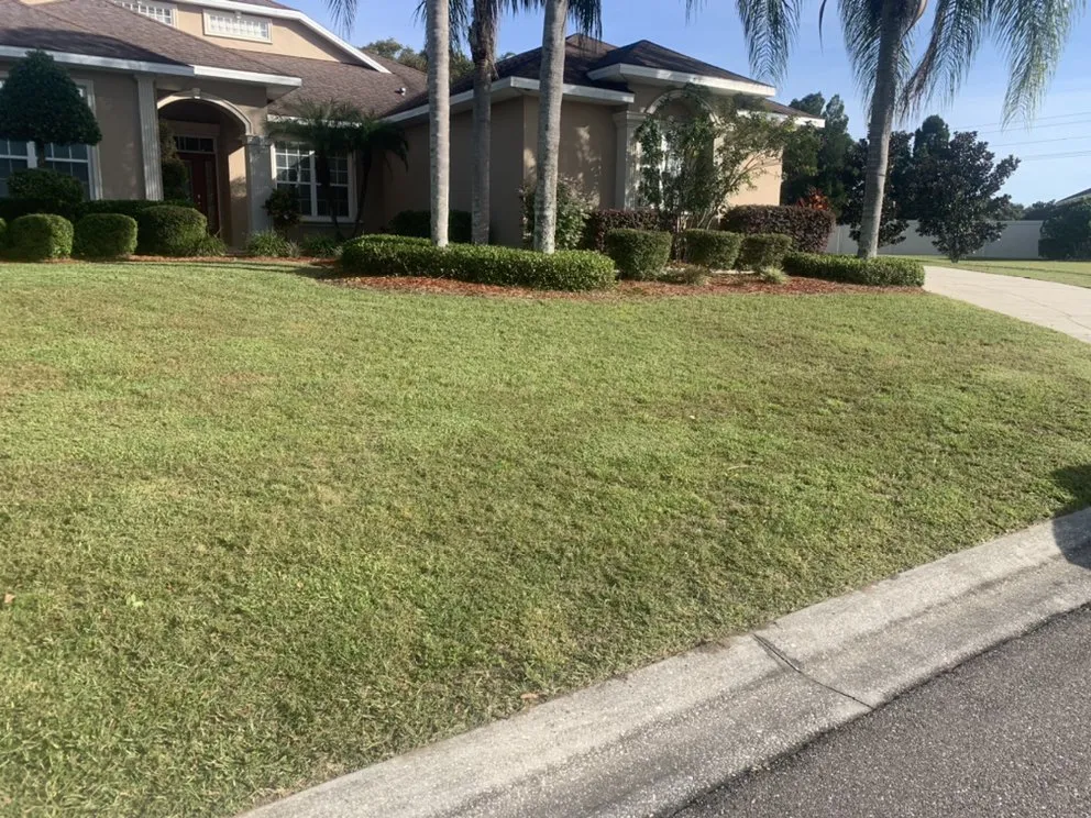 Local lawn mowing service for homes in PLANT CITY, FL by MORRIS LAWN CARE MORE