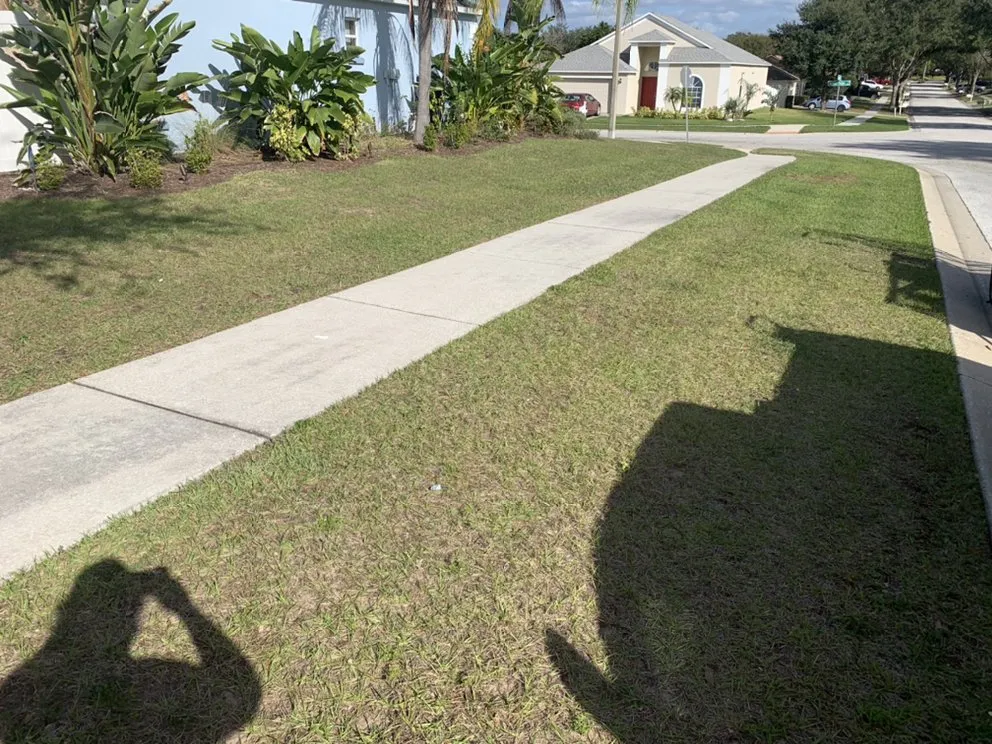Trusted outdoor landscaping for residential properties across PLANT CITY, FL - MORRIS LAWN CARE MORE
