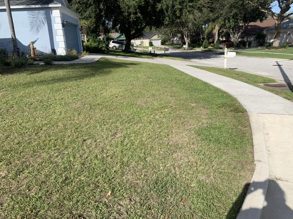 Trusted landscape installation for outdoor upgrades across PLANT CITY, FL - MORRIS LAWN CARE MORE