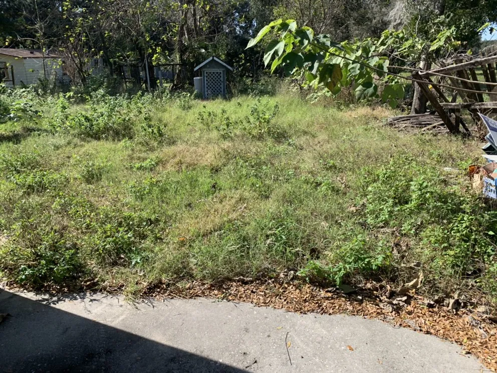 Top-rated landscaping services experts serving PLANT CITY, FL - MORRIS LAWN CARE MORE