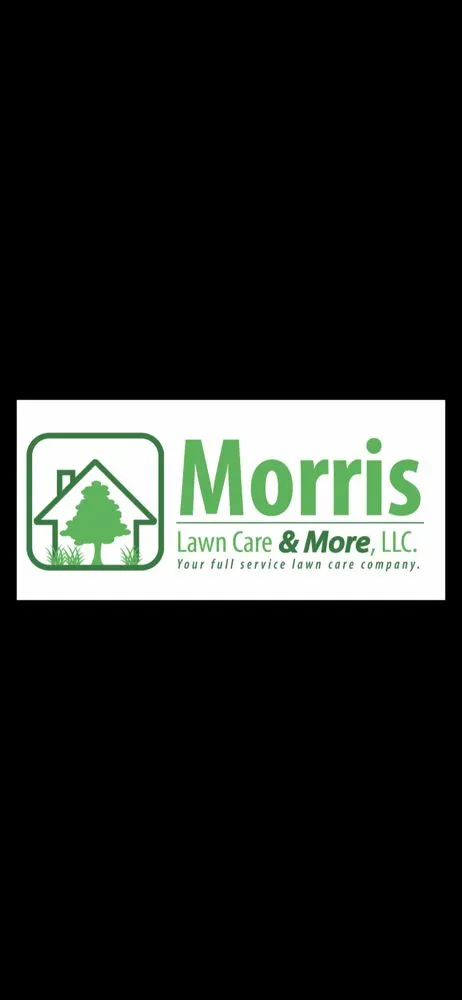 Affordable outdoor landscaping experts serving PLANT CITY, FL - MORRIS LAWN CARE MORE