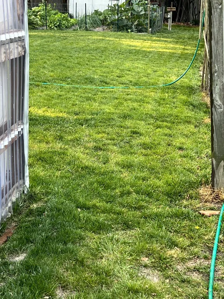 Professional garden landscaping experts serving Seaford, DE - Morris Lawn Care