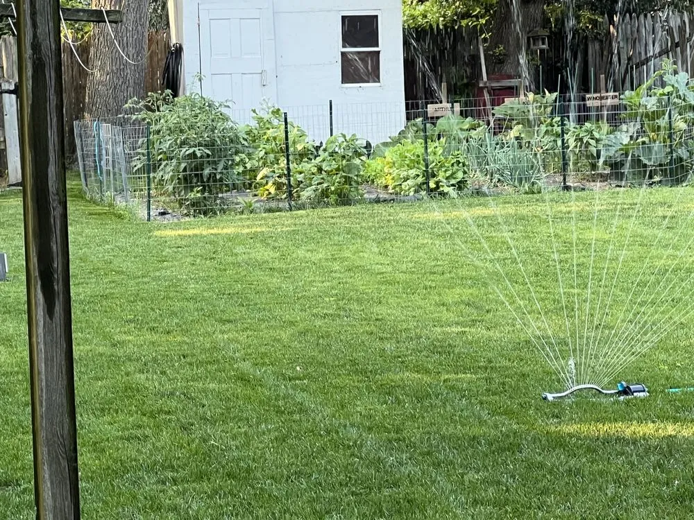 Professional landscape installation in Seaford, DE - Morris Lawn Care