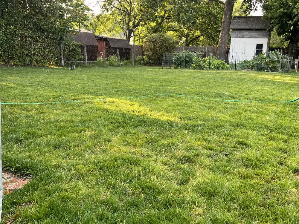 Local outdoor landscaping in Seaford, DE by Morris Lawn Care