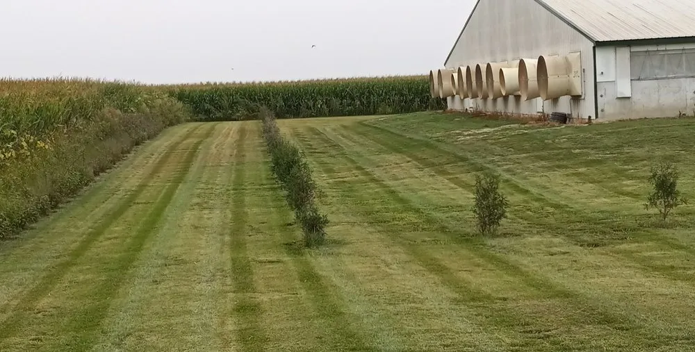 Local outdoor landscaping in Cylinder, IA - Morris Mowing
