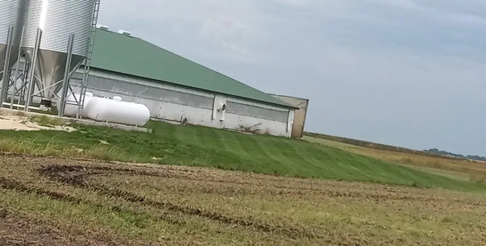 Expert landscape design in Cylinder, IA by Morris Mowing