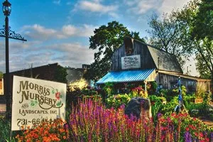 Affordable landscape installation with custom design across Jackson, TN - Morris Nursery & Landscapes