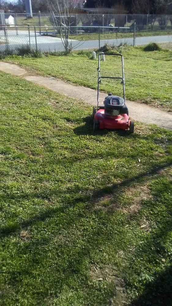 Expert yard cleanup service near you in Cedartown, GA by Morris Painting & Lawn Service