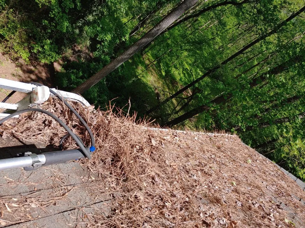 Local yard cleanup service experts serving Sandston, VA - Morris &Taylor's Lawn Care Service