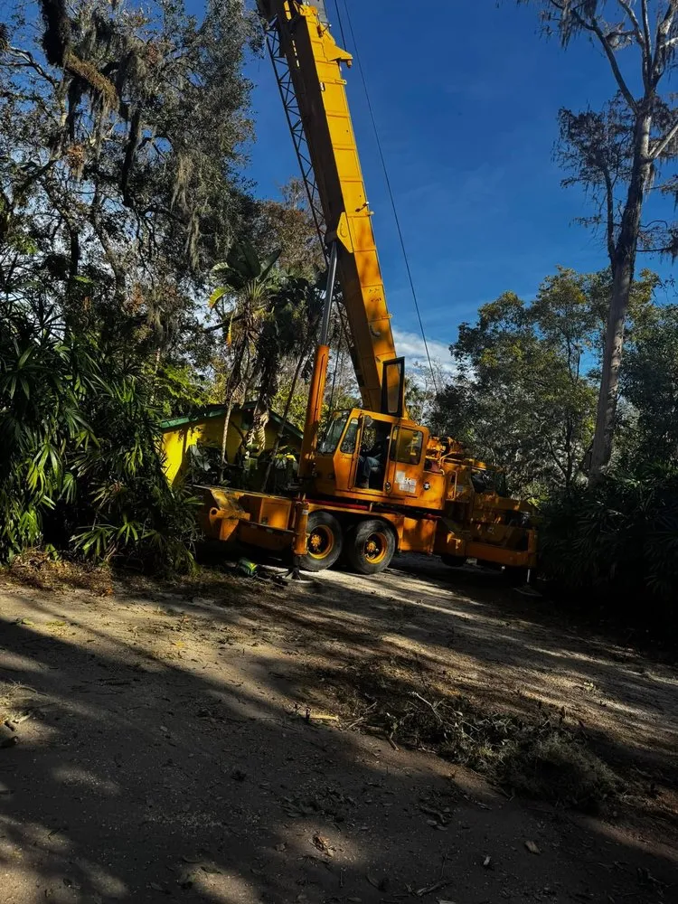 Local landscape installation near you in Holiday, FL by Morris Tree Service