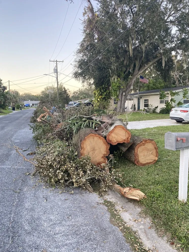Professional landscape design for residential properties in Holiday, FL by Morris Tree Service