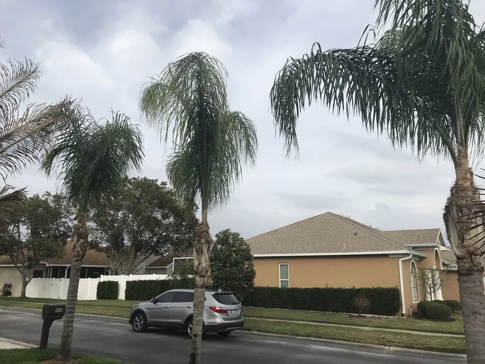 Reliable yard cleanup service in Holiday, FL - Morris Tree Service