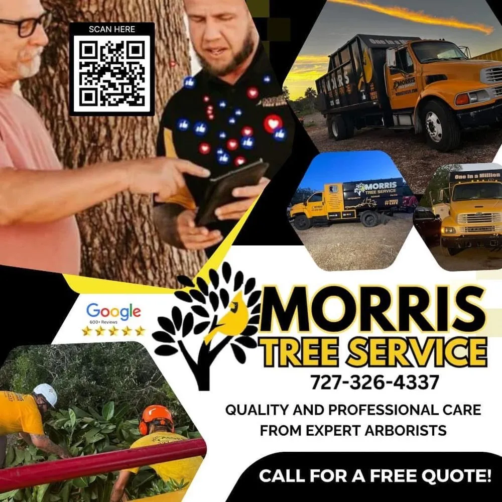 Custom lawn mowing service for residential properties in Holiday, FL by Morris Tree Service