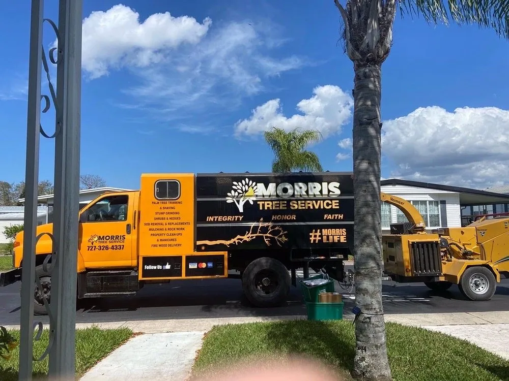 Custom landscape installation for beautiful yards across Holiday, FL - Morris Tree Service