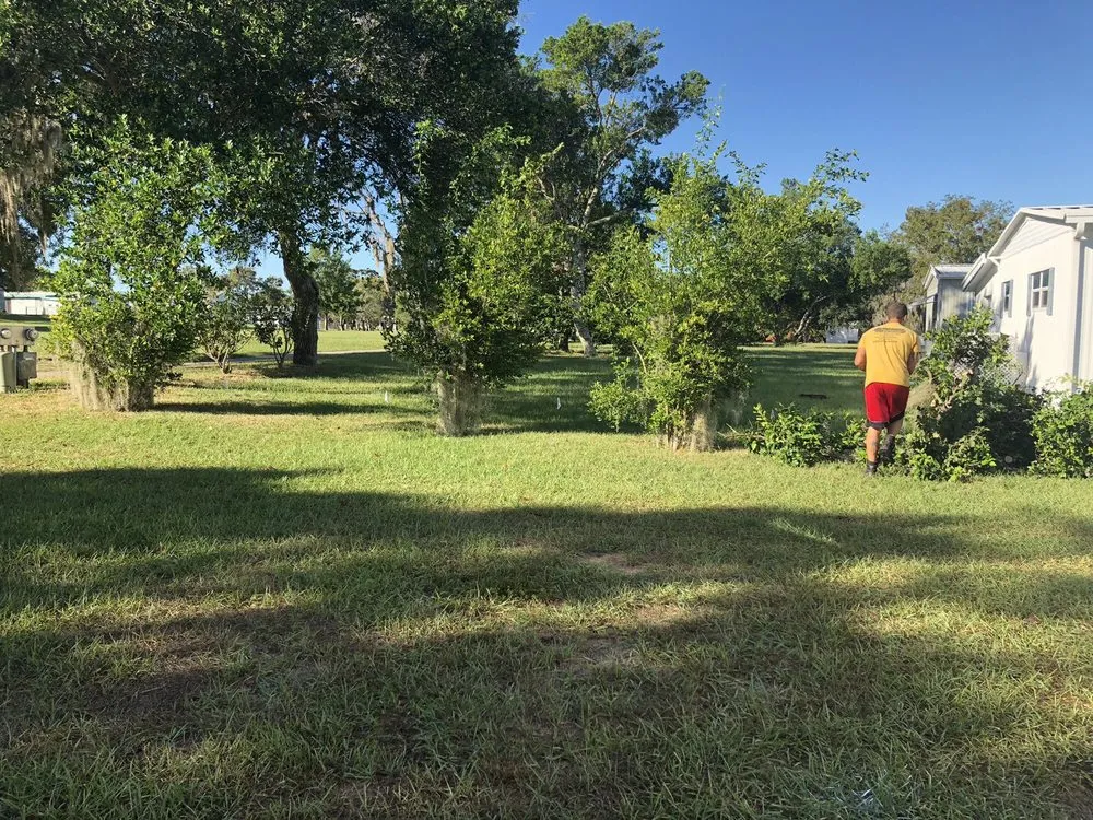 Expert lawn care service experts serving Holiday, FL - Morris Tree Service