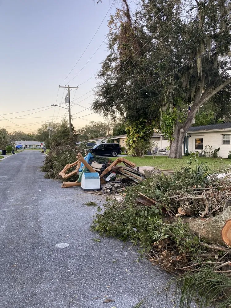 Expert landscaping services for year-round maintenance in Holiday, FL by Morris Tree Service